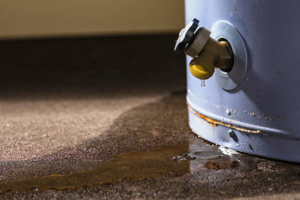 Best Professional water damage repair  in Alameda, CA