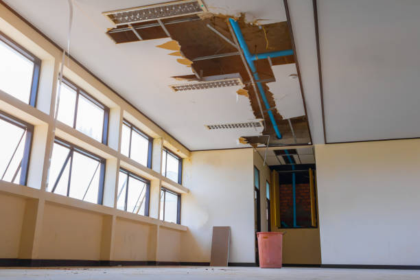 Professional Water damage restoration in Alameda, CA