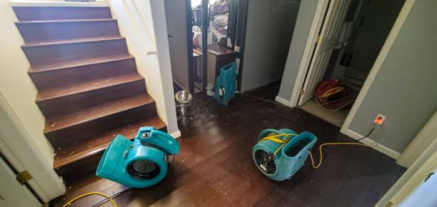 Best Sewage cleanup and water damage restoration  in Alameda, CA