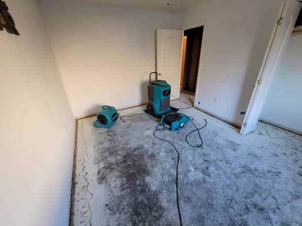 Best Basement water damage restoration  in Alameda, CA