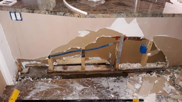 Best Professional water damage repair  in Alameda, CA