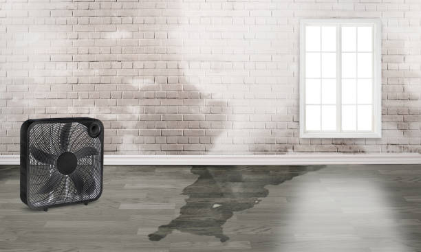 Best Water damage restoration cost  in Alameda, CA