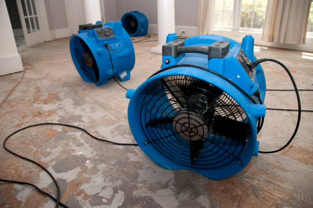 Best Flood damage cleanup  in Alameda, CA