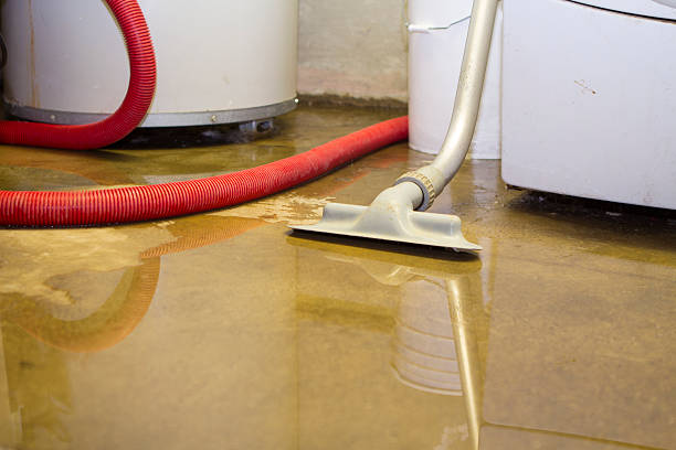 Water damage restoration process in Alameda, CA
